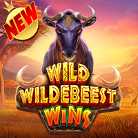 WILD WILDEBEEST WINS